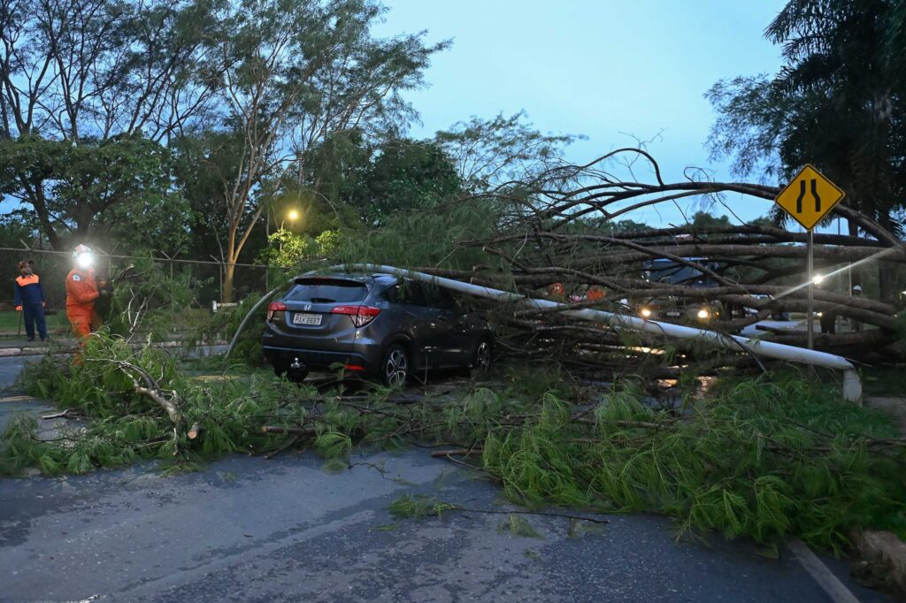 motorista-atingida-por-poste-passava-no-exato-momento-que-arvore-caiu