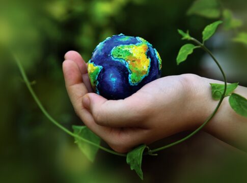 brasil-pode-zerar-emissoes-de-gases-10-anos-antes-da-meta,-diz-estudo