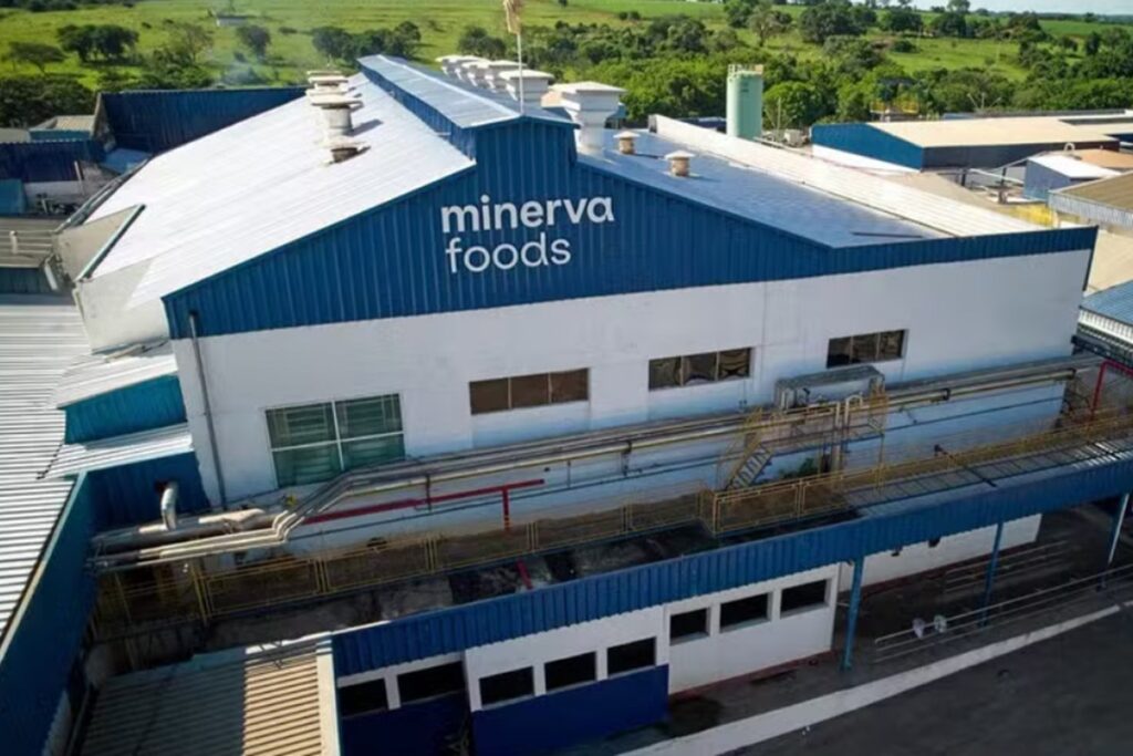 acoes-da-minerva-desabam-e-lideram-perdas-na-bolsa-apos-balanco