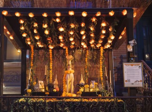 tutora-faz-homenagem-diferente-para-cao-falecido-e-comove-a-web