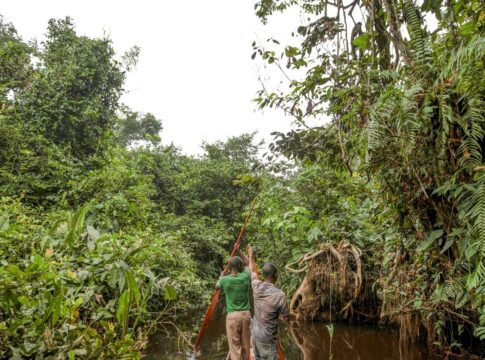 franca-lidera-acao-de-us$-2,5-bilhoes-para-proteger-floresta-do-congo