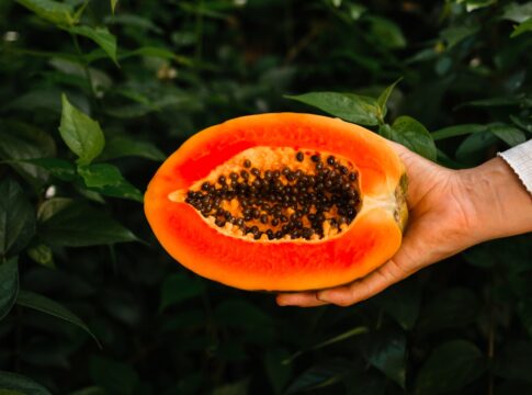 nutricionista-revela-se-e-saudavel-comer-mamao-todos-os-dias