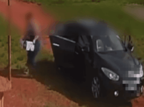 video-revoltante-mostra-mulher-abandonando-cadela-e-filhotes-na-chuva