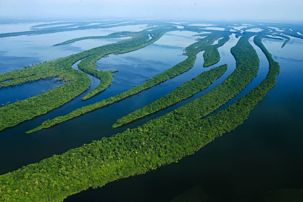 verdades-amazonicas-(por-andre-gustavo-stumpf)