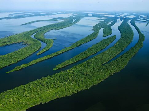 verdades-amazonicas-(por-andre-gustavo-stumpf)