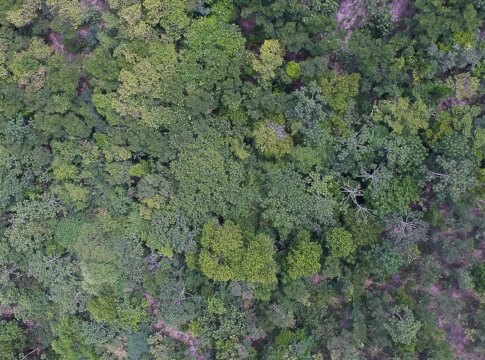 exposicao-digital-mostra-vida-nos-seis-biomas-brasileiros