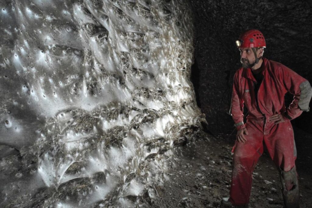 maior-teia-do-mundo-tem-mais-de-111-mil-aranhas,-veja-fotos