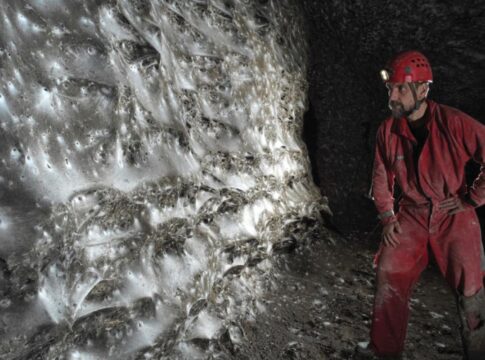 maior-teia-do-mundo-tem-mais-de-111-mil-aranhas,-veja-fotos