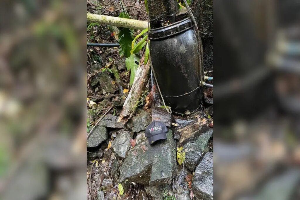 homem-e-atingido-por-arvore-e-fica-sem-o-movimento-das-pernas-em-sc