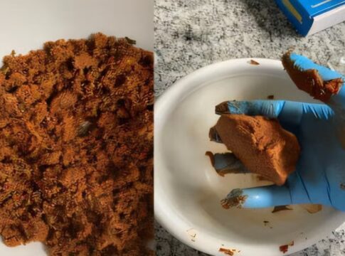 buscando-mais-proteina?-pesquisadores-criam-novo-alimento-proteico