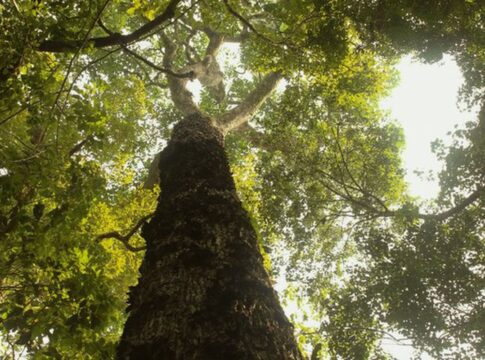 tv-brasil-estreia-nova-temporada-de-“parques-do-brasil”-neste-domingo
