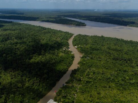 tributando-a-mata:-a-batalha-fiscal-de-manaus-(por-roberto-caminha)