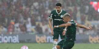 saiba-os-desfalques-de-flamengo-e-palmeiras-na-data-fifa