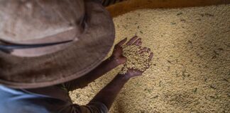 livro-aborda-producao-sustentavel-em-meio-a-mudanca-climatica