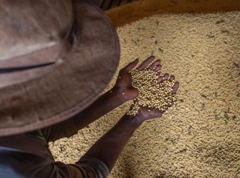 livro-aborda-producao-sustentavel-em-meio-a-mudanca-climatica