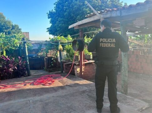 pf-investiga-2-mulheres-por-trafico-de-drogas-da-suecia-pelos-correios