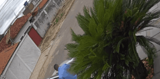 homem-incendeia-carros-de-vizinhos-estacionados-na-rua,-no-df