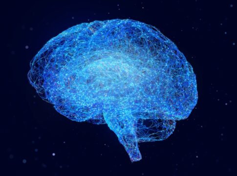 colesterol-tem-papel-decisivo-na-saude-cerebral,-mostram-estudos