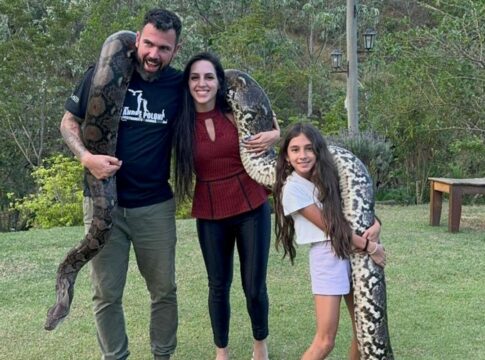 mais-de-100-animais:-familia-de-sp-tem-cobras,-jacare-e-macaco-em-casa