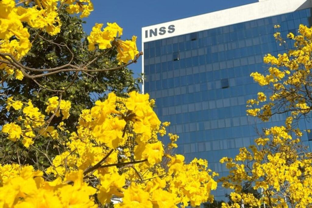 farra-do-inss:-antes-de-gerir-ong-investigada,-presidente-era-motorista