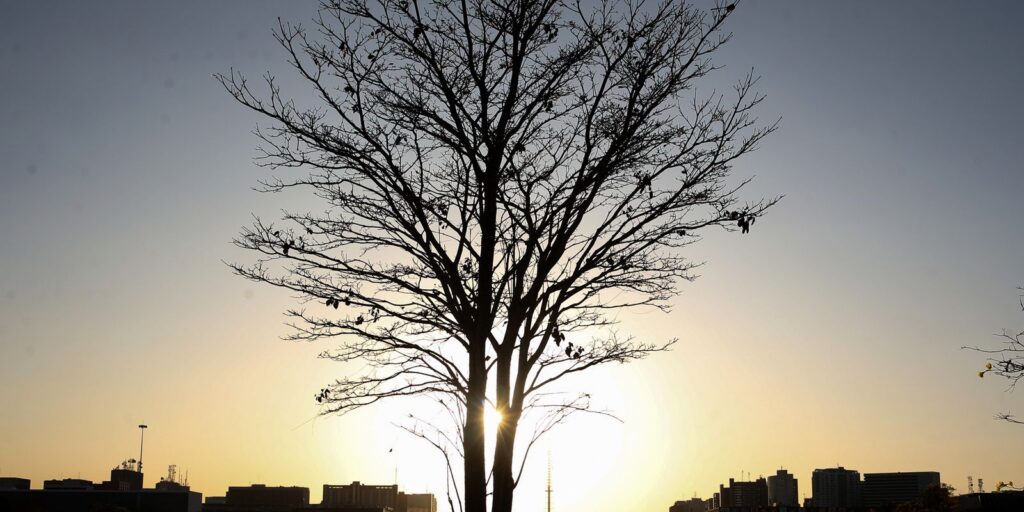 cientista-alerta-para-risco-de-aquecimento-global-por-longo-tempo