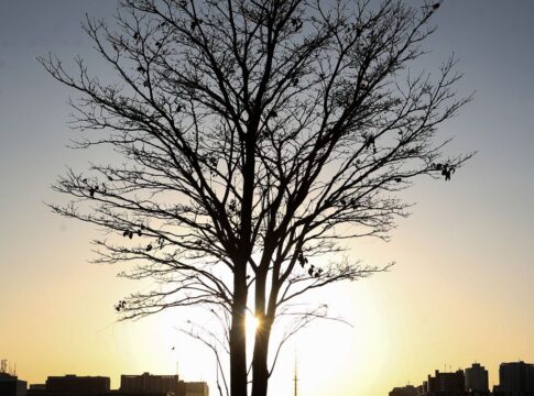 cientista-alerta-para-risco-de-aquecimento-global-por-longo-tempo