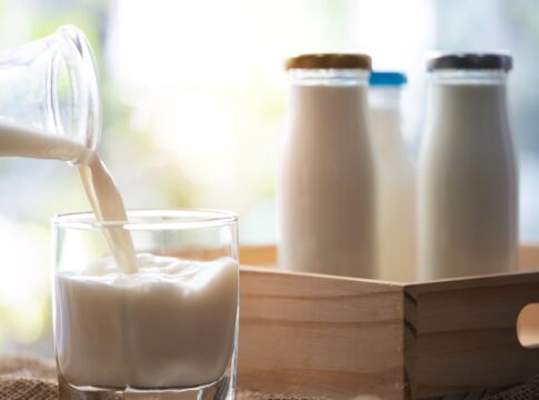 leite-de-barata?-esqueca-o-nojo-e-entenda-o-possivel-superalimento