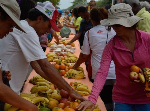 acao-da-cidadania-lanca-natal-sem-fome-2025