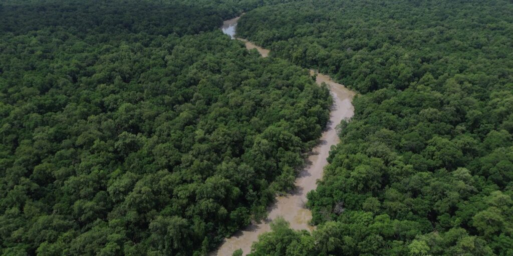 areas-protegidas-sao-quase-metade-da-amazonia-legal,-mostra-ibge
