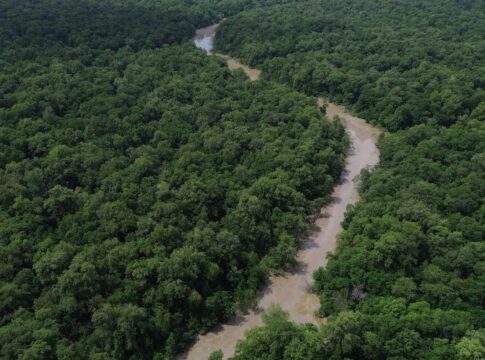 areas-protegidas-sao-quase-metade-da-amazonia-legal,-mostra-ibge