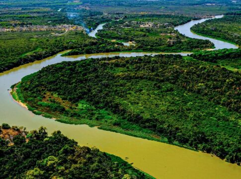 relatorio-do-mapbiomas-revela-pantanal-reconfigurado-em-40-anos