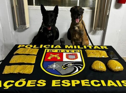 cadela-da-pm-acha-droga-escondida-em-corpo-de-mulher-dentro-de-onibus