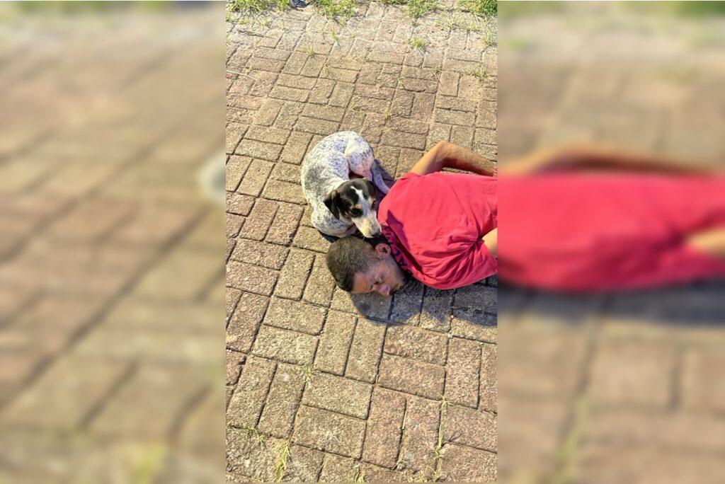 conhecido-ladrao-do-guara-e-preso-apos-arrombar-hamburgueria