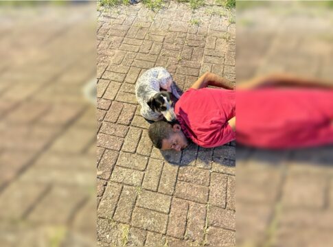 conhecido-ladrao-do-guara-e-preso-apos-arrombar-hamburgueria