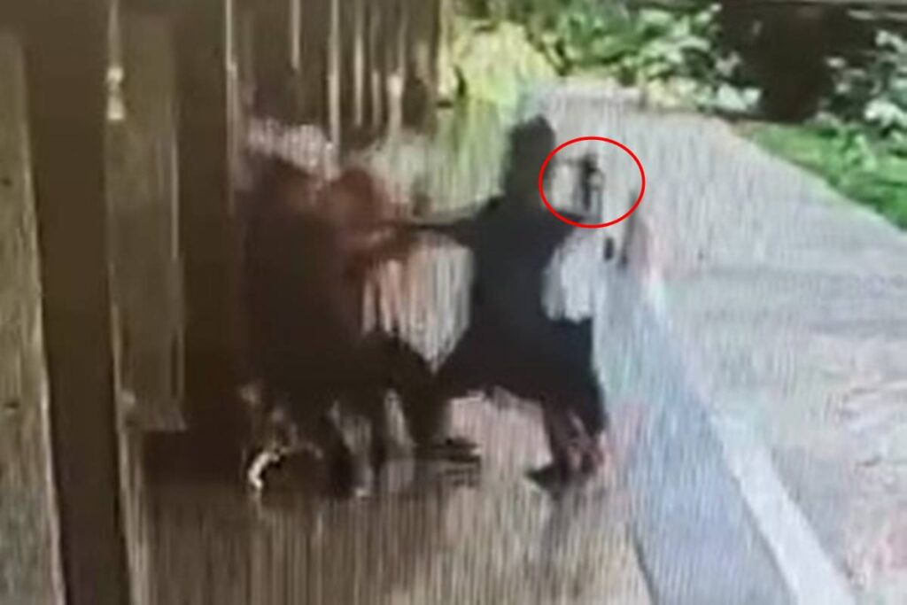 susto-na-asa-sul:-mulher-de-73-anos-e-ameacada-por-homem-com-faca