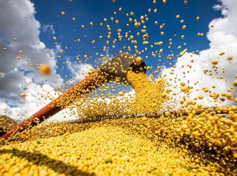 brasil-estima-colheita-de-354,8-milhoes-de-toneladas-de-graos