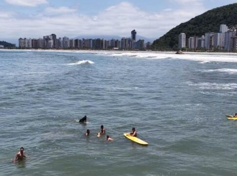 nao-e-um-teste:-curso-de-guarda-vidas-acaba-com-resgate-real-em-sp