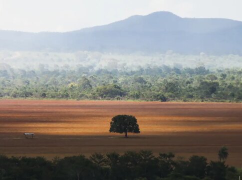 cop30:-governo-cobra-r$-476-milhoes-de-infratores-ambientais 