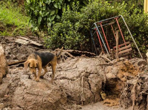 bhp-recorrera-da-decisao-e-diz-que-solucao-e-o-acordo-de-indenizacao