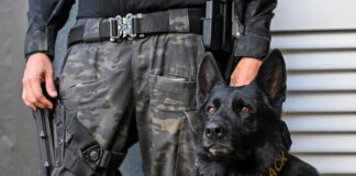 tropa-k9:-veja-descobertas-inacreditaveis-dos-caes-policiais-da-pcdf