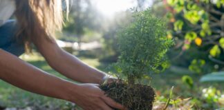 infraestrutura-sustentavel-avanca-com-apoio-do-banco-da-amazonia