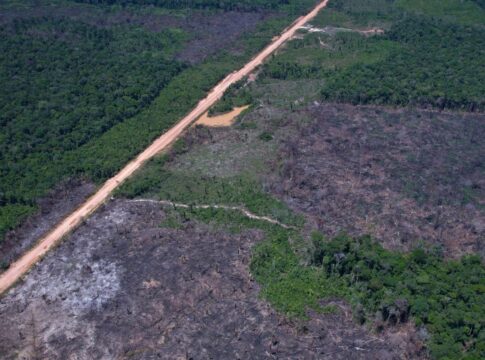 vias-ilegais-perto-da-br-319-avancam-em-areas-protegidas-na-amazonia