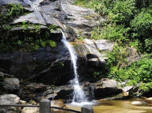 parque-nacional-da-tijuca-promove-feira-de-ciencias-com-foco-em-peixes