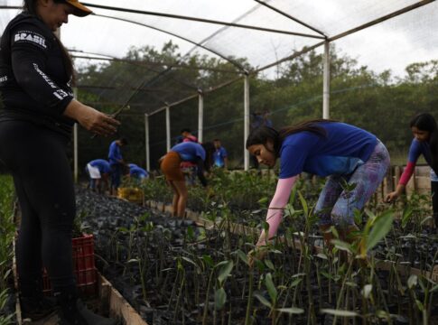 governo-fecha-parceria-para-expandir-energia-renovavel-na-amazonia