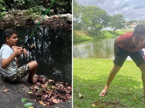 menino-e-atacado-por-abelhas-e-sofre-mais-de-1.500-picadas-em-goias