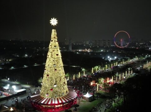 arvore-de-natal-gigante-com-reciclagem-e-carrossel-e-inaugurada-em-sp