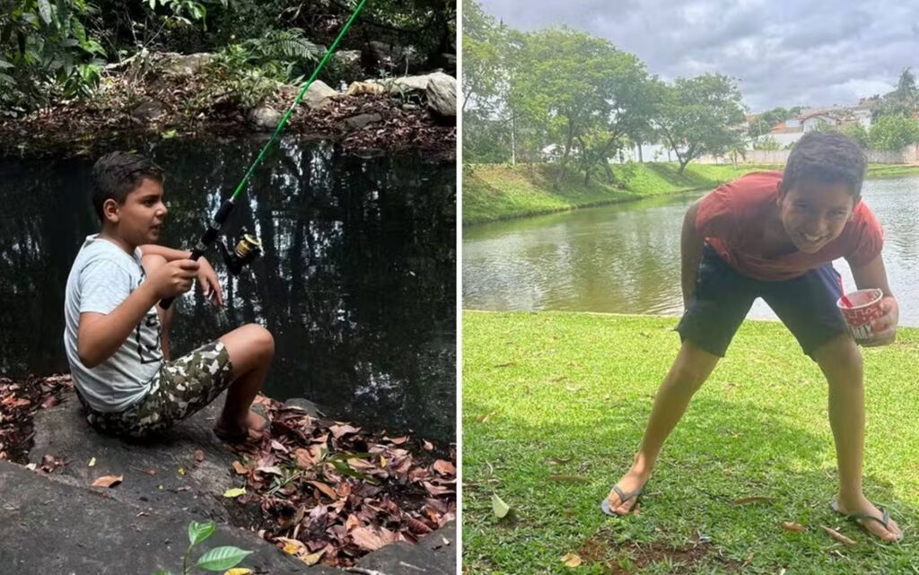 go:-menino-atacado-por-abelhas-tem-quadro-grave-de-saude,-diz-mae