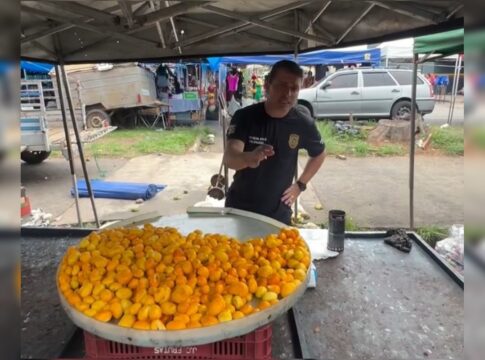 falso-litro-do-pequi:-delegado-fiscaliza-feira-e-alerta-para-golpe