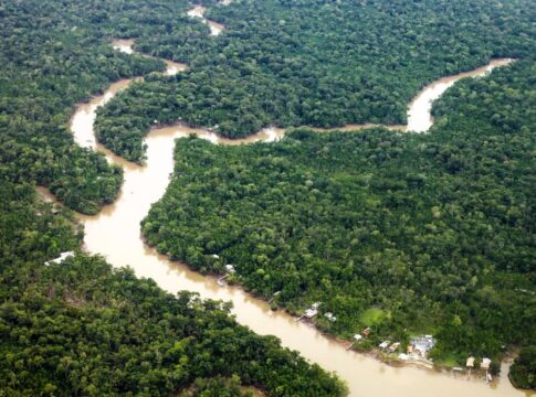 regulamentacao-de-creditos-para-concessoes-florestais-aquece-mercado