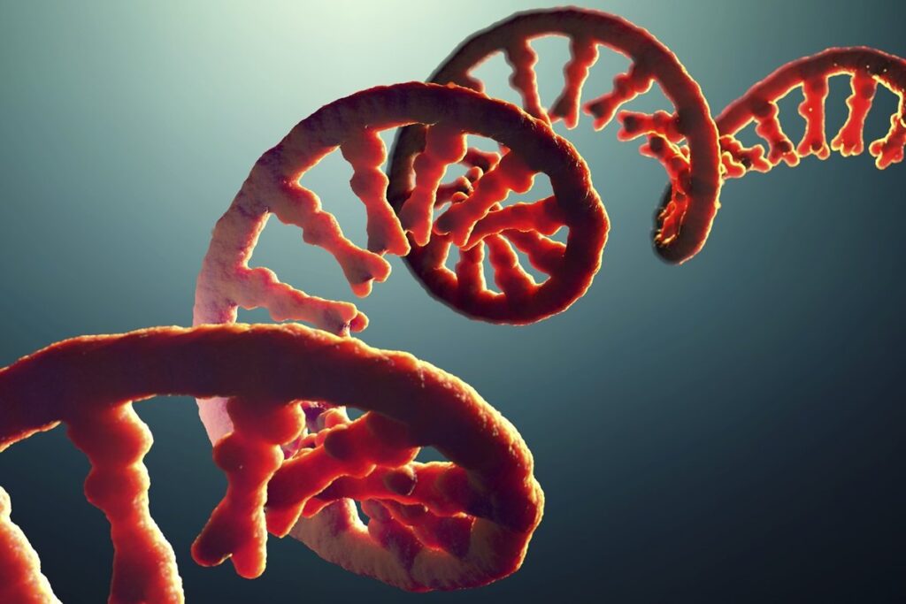 estudo-relaciona-rna-do-coronavirus-no-sangue-com-risco-de-covid-grave